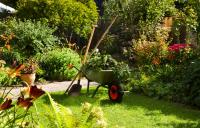 Garden Maintenance Melbourne - A Quality Cut image 2